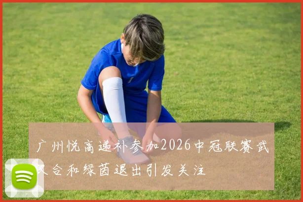广州悦高递补参加2026中冠联赛武汉合和绿茵退出引发关注